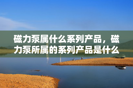 磁力泵属什么系列产品，磁力泵所属的系列产品是什么？
