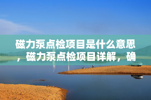 磁力泵点检项目是什么意思，磁力泵点检项目详解，确保设备正常运行的关键检查步骤