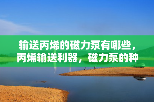 输送丙烯的磁力泵有哪些，丙烯输送利器，磁力泵的种类与应用
