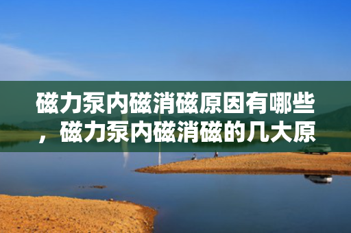 磁力泵内磁消磁原因有哪些，磁力泵内磁消磁的几大原因解析