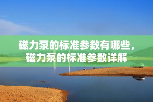 磁力泵的标准参数有哪些，磁力泵的标准参数详解