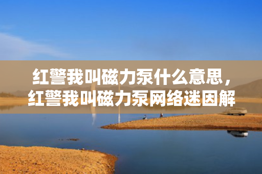 红警我叫磁力泵什么意思，红警我叫磁力泵网络迷因解析