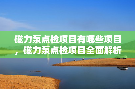 磁力泵点检项目有哪些项目，磁力泵点检项目全面解析
