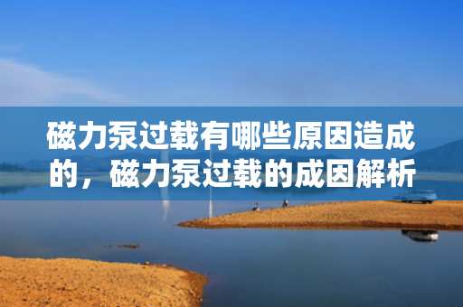 磁力泵过载有哪些原因造成的，磁力泵过载的成因解析