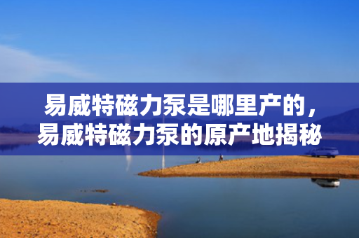 易威特磁力泵是哪里产的，易威特磁力泵的原产地揭秘