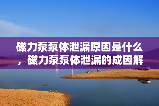 磁力泵泵体泄漏原因是什么，磁力泵泵体泄漏的成因解析