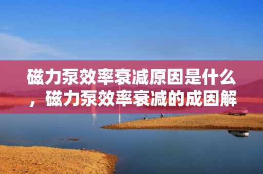 磁力泵效率衰减原因是什么，磁力泵效率衰减的成因解析