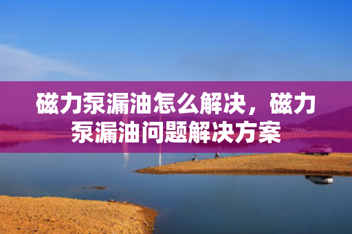 磁力泵漏油怎么解决，磁力泵漏油问题解决方案