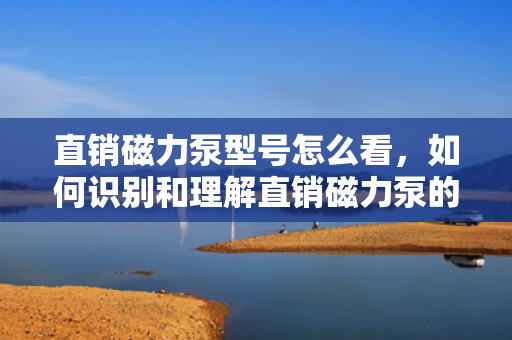 直销磁力泵型号怎么看，如何识别和理解直销磁力泵的型号