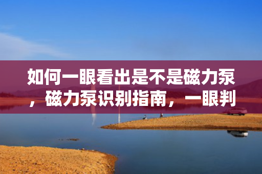 如何一眼看出是不是磁力泵，磁力泵识别指南，一眼判断是否为磁力泵的方法
