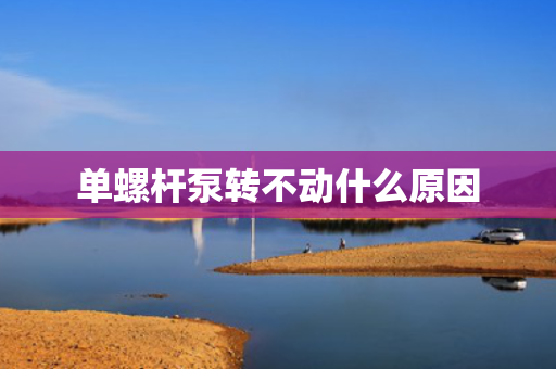 单螺杆泵转不动什么原因