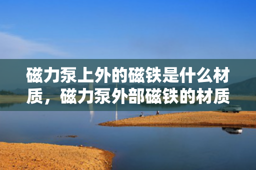 磁力泵上外的磁铁是什么材质，磁力泵外部磁铁的材质解析