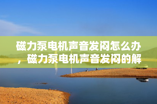 磁力泵电机声音发闷怎么办，磁力泵电机声音发闷的解决方法