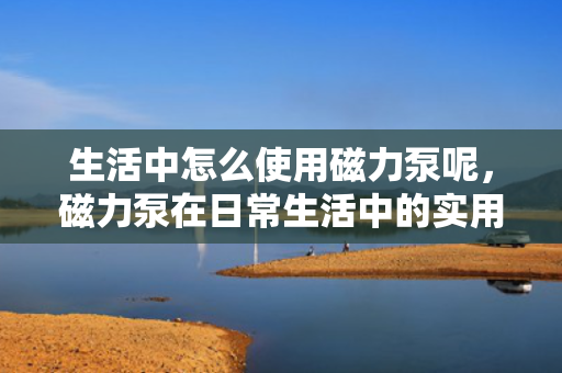 生活中怎么使用磁力泵呢，磁力泵在日常生活中的实用指南