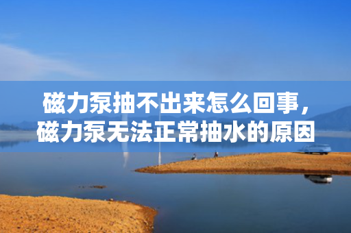磁力泵抽不出来怎么回事，磁力泵无法正常抽水的原因及解决方法