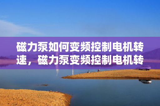 磁力泵如何变频控制电机转速，磁力泵变频控制电机转速的方法与实现