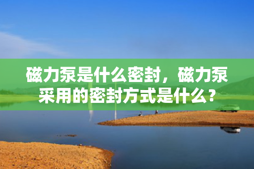 磁力泵是什么密封，磁力泵采用的密封方式是什么？