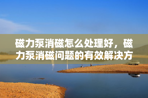 磁力泵消磁怎么处理好，磁力泵消磁问题的有效解决方法