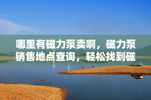 哪里有磁力泵卖啊，磁力泵销售地点查询，轻松找到磁力泵购买渠道