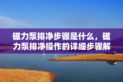 磁力泵排净步骤是什么，磁力泵排净操作的详细步骤解析