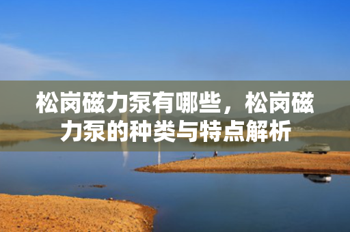 松岗磁力泵有哪些，松岗磁力泵的种类与特点解析