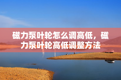 磁力泵叶轮怎么调高低，磁力泵叶轮高低调整方法