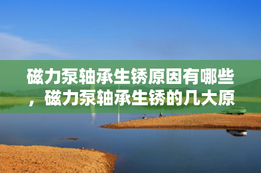 磁力泵轴承生锈原因有哪些，磁力泵轴承生锈的几大原因解析
