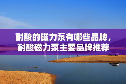 耐酸的磁力泵有哪些品牌，耐酸磁力泵主要品牌推荐