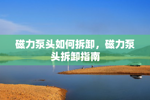 磁力泵头如何拆卸，磁力泵头拆卸指南