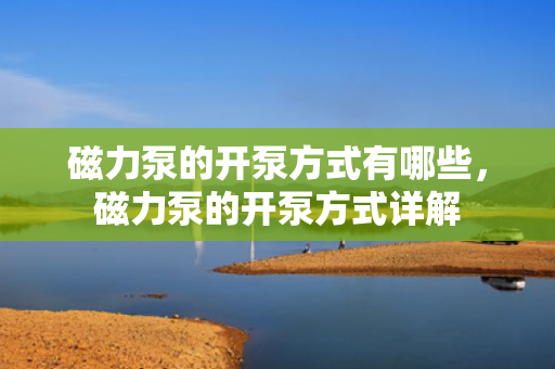 磁力泵的开泵方式有哪些，磁力泵的开泵方式详解