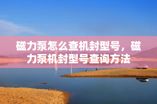 磁力泵怎么查机封型号，磁力泵机封型号查询方法