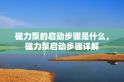 磁力泵的启动步骤是什么，磁力泵启动步骤详解