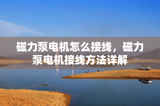 磁力泵电机怎么接线，磁力泵电机接线方法详解