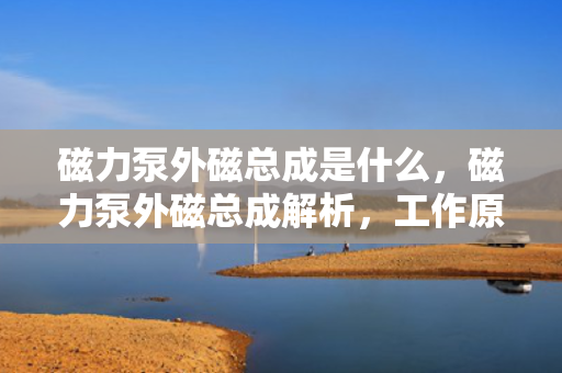 磁力泵外磁总成是什么，磁力泵外磁总成解析，工作原理与关键部件介绍
