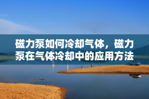 磁力泵如何冷却气体，磁力泵在气体冷却中的应用方法