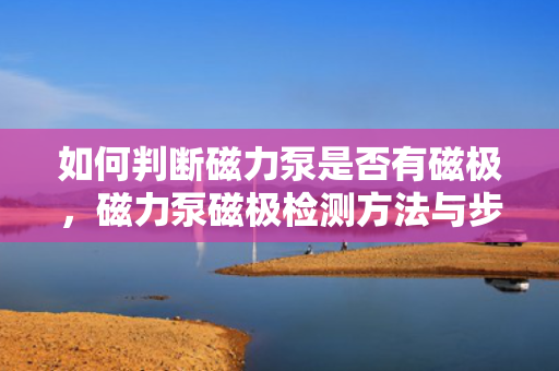 如何判断磁力泵是否有磁极，磁力泵磁极检测方法与步骤