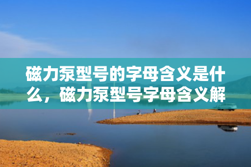 磁力泵型号的字母含义是什么，磁力泵型号字母含义解析
