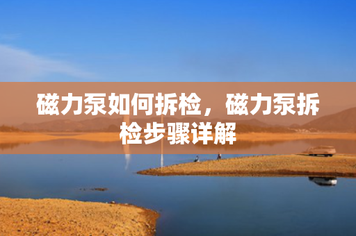 磁力泵如何拆检，磁力泵拆检步骤详解
