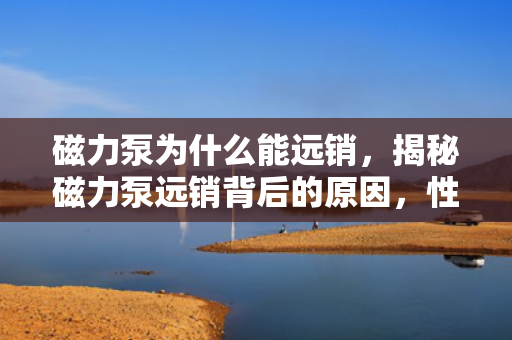 磁力泵为什么能远销，揭秘磁力泵远销背后的原因，性能卓越与市场需求共赢
