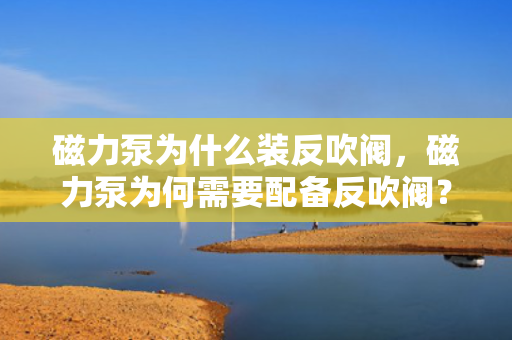 磁力泵为什么装反吹阀，磁力泵为何需要配备反吹阀？