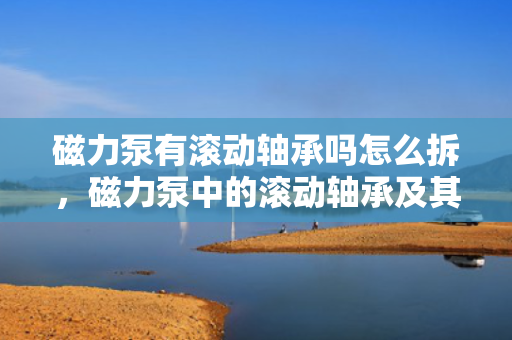 磁力泵有滚动轴承吗怎么拆，磁力泵中的滚动轴承及其拆卸方法解析