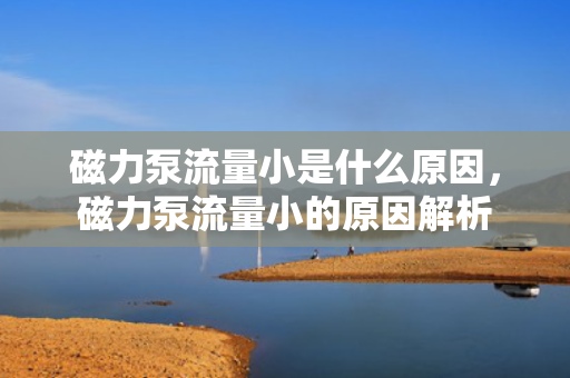 磁力泵流量小是什么原因，磁力泵流量小的原因解析