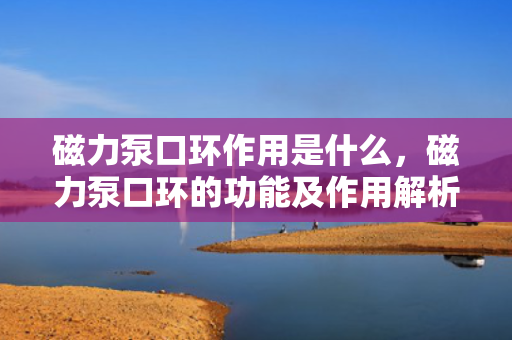 磁力泵口环作用是什么，磁力泵口环的功能及作用解析