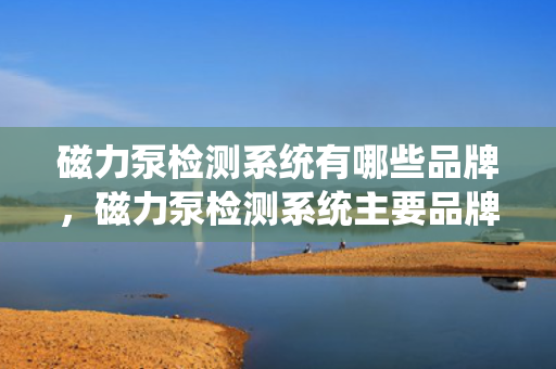 磁力泵检测系统有哪些品牌，磁力泵检测系统主要品牌概览