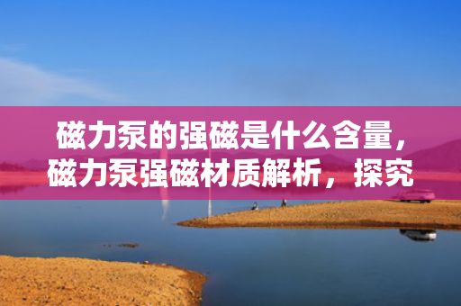 磁力泵的强磁是什么含量，磁力泵强磁材质解析，探究其关键元素含量
