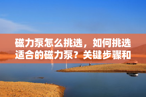 磁力泵怎么挑选，如何挑选适合的磁力泵？关键步骤和要点解析