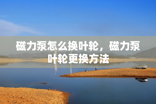 磁力泵怎么换叶轮，磁力泵叶轮更换方法