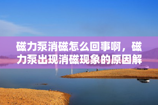 磁力泵消磁怎么回事啊，磁力泵出现消磁现象的原因解析