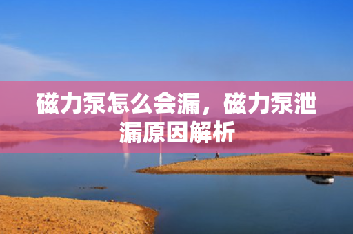 磁力泵怎么会漏，磁力泵泄漏原因解析