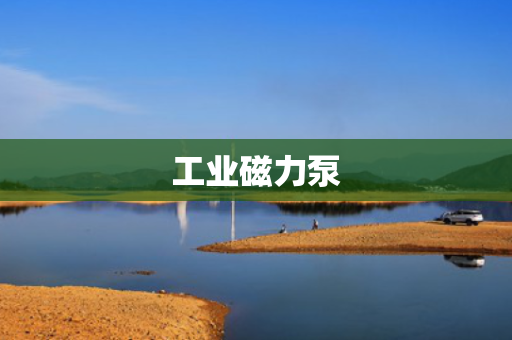 工业磁力泵